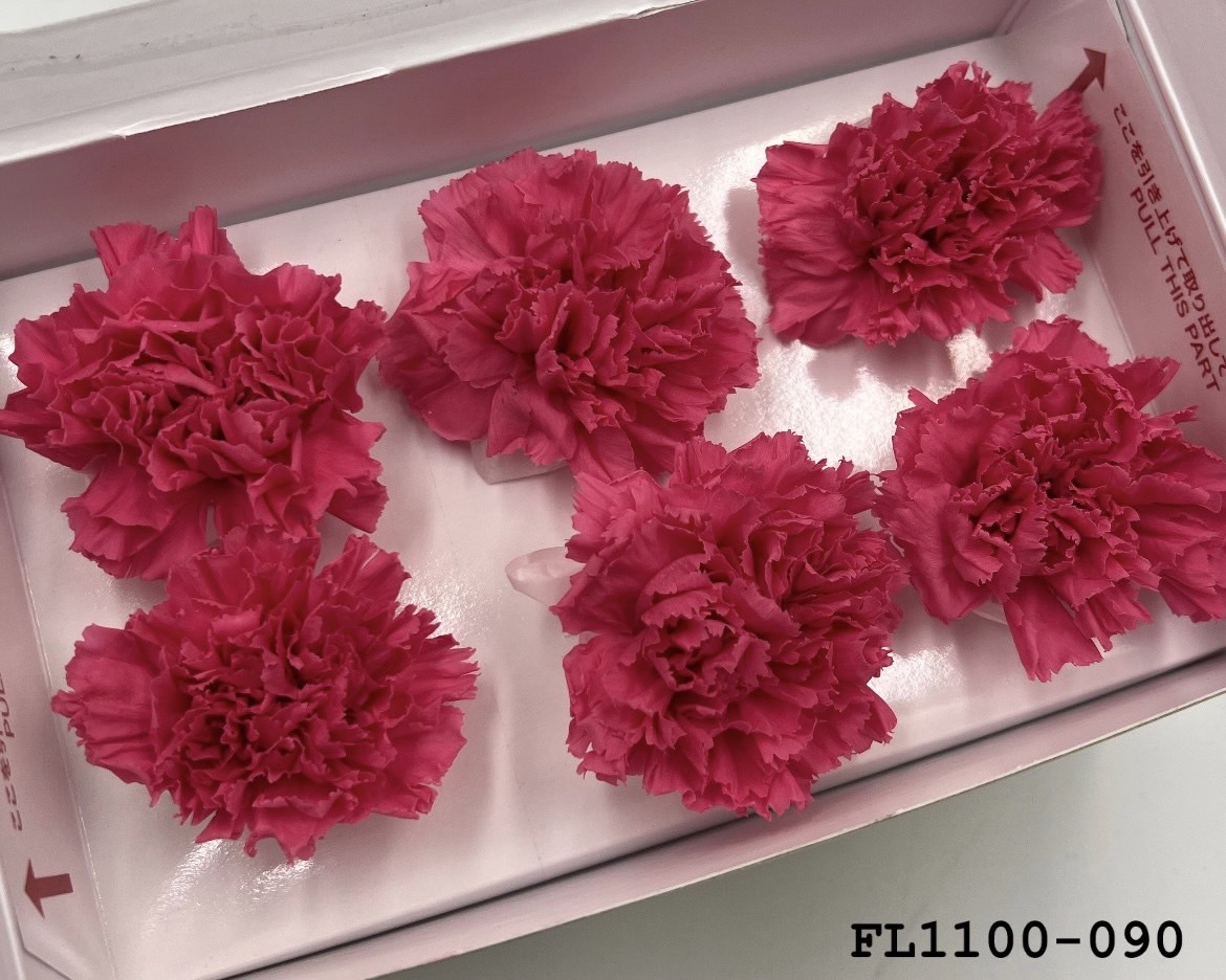 日本不凋中輪康乃馨 FL1100-090