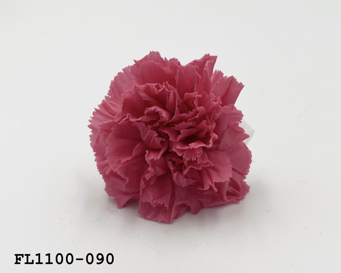 日本不凋中輪康乃馨 FL1100-090