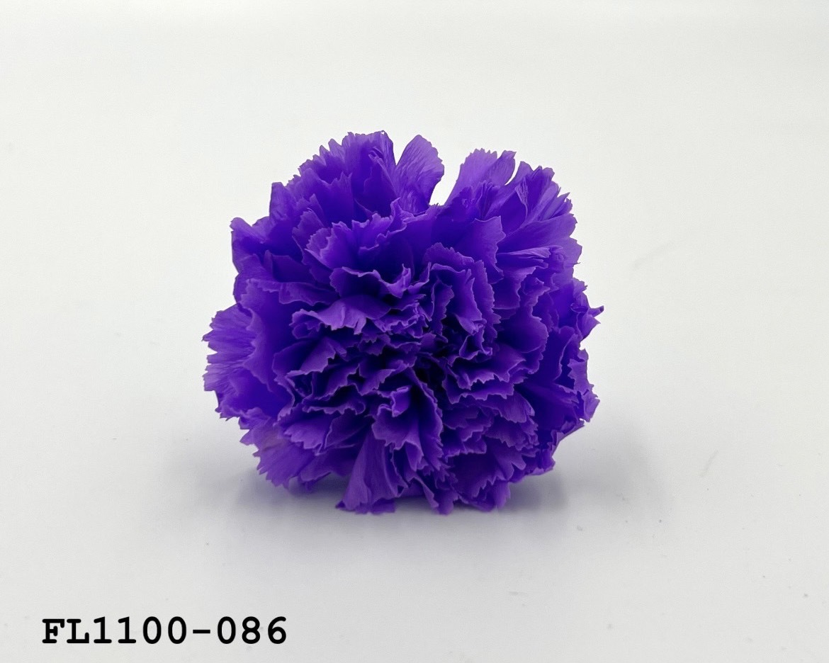 日本不凋中輪康乃馨 FL1100-086