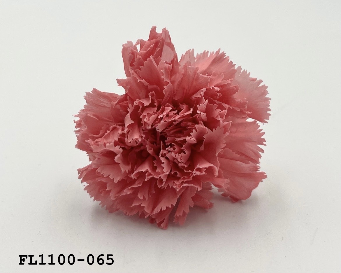 日本不凋中輪康乃馨 FL1100-065