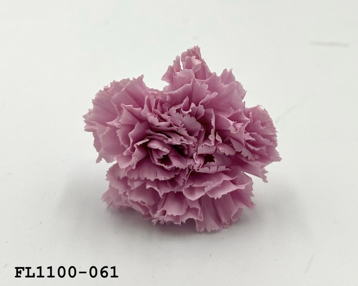 日本不凋中輪康乃馨 FL1100-061