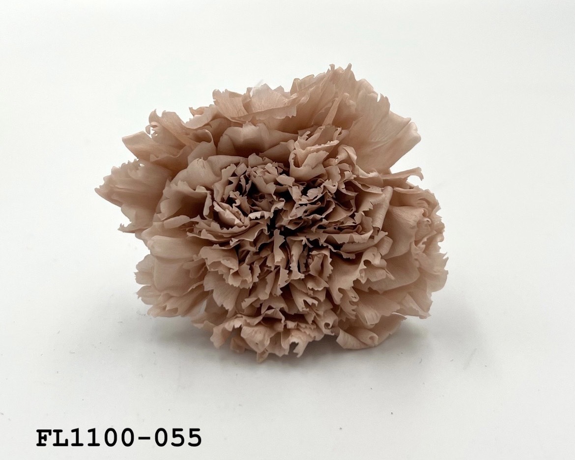 日本不凋中輪康乃馨 FL1100-055