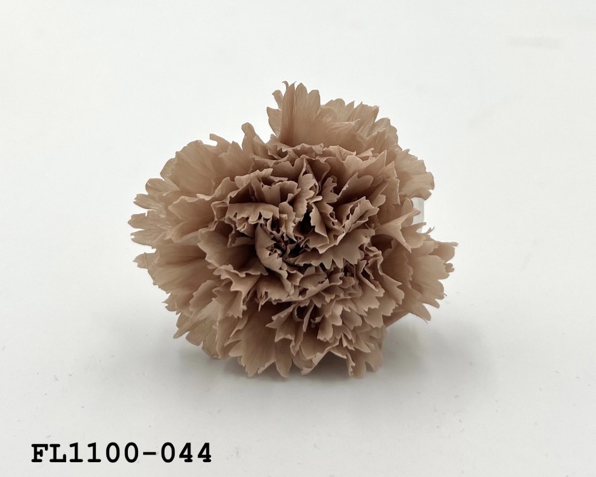 日本不凋中輪康乃馨 FL1100-044