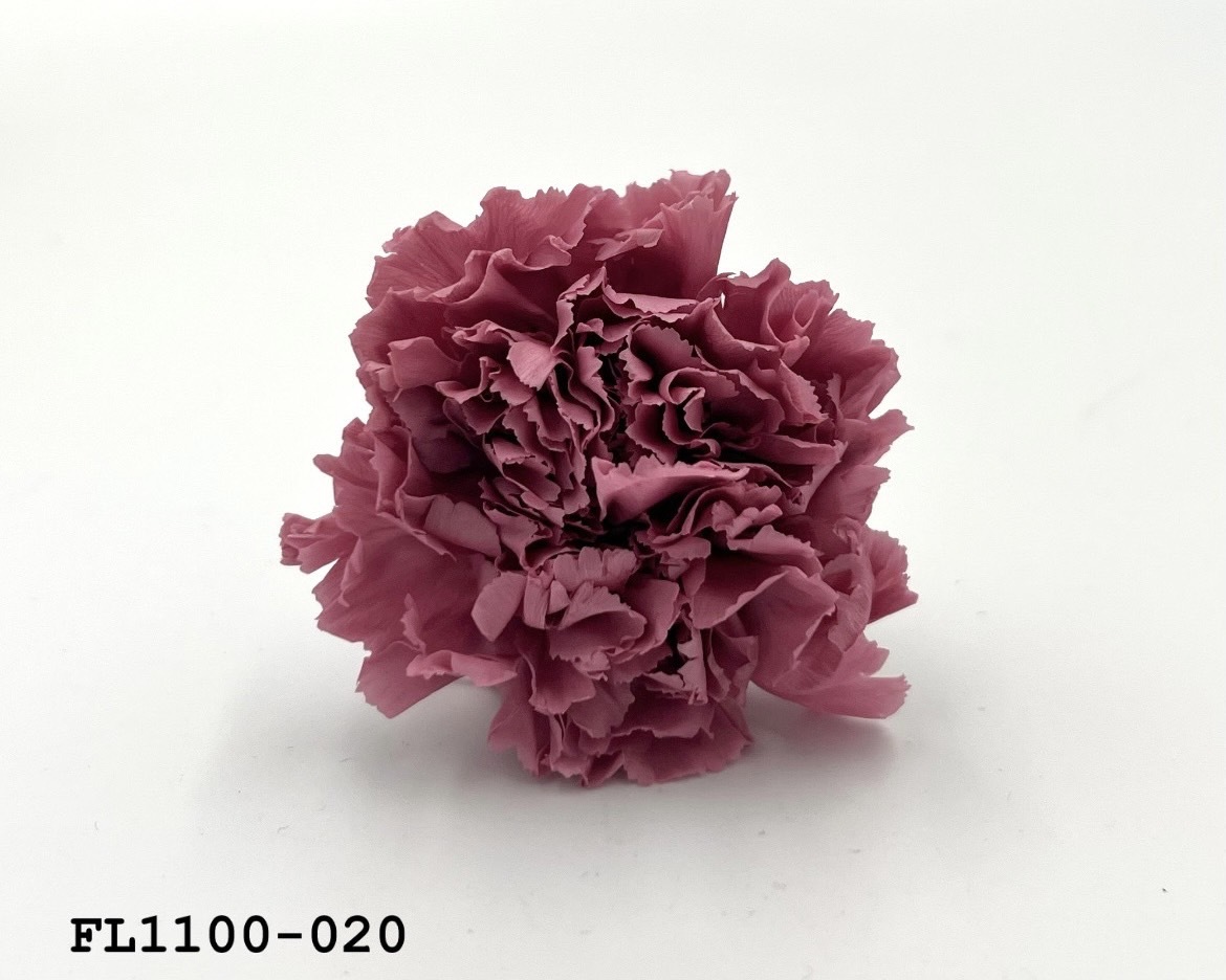 日本不凋中輪康乃馨 FL1100-020