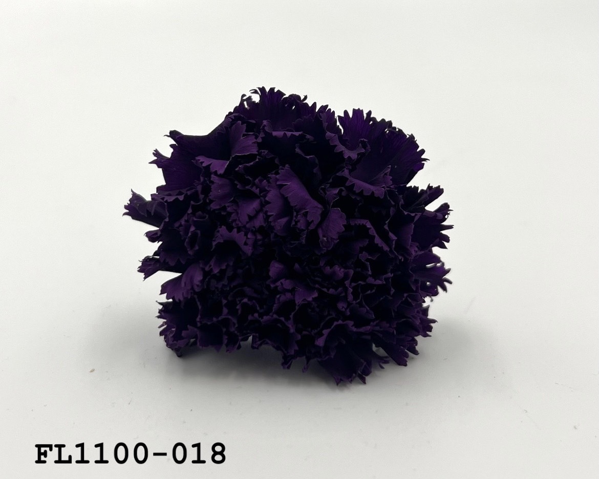 日本不凋中輪康乃馨 FL1100-018