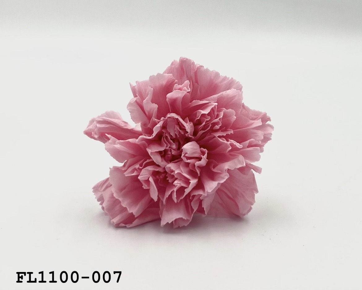 日本不凋中輪康乃馨 FL1100-007