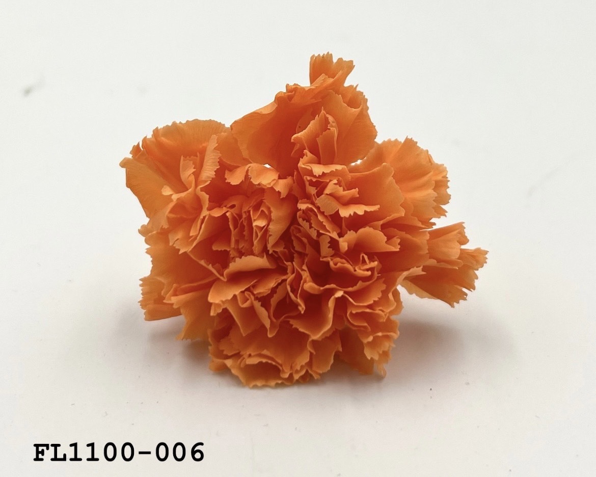 日本不凋中輪康乃馨 FL1100-006