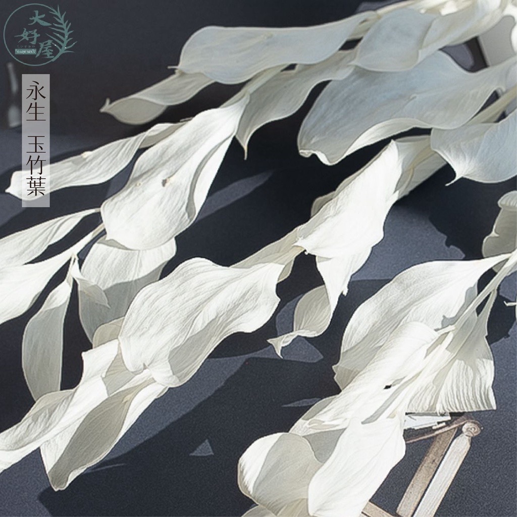 永生玉竹葉【大束裝】