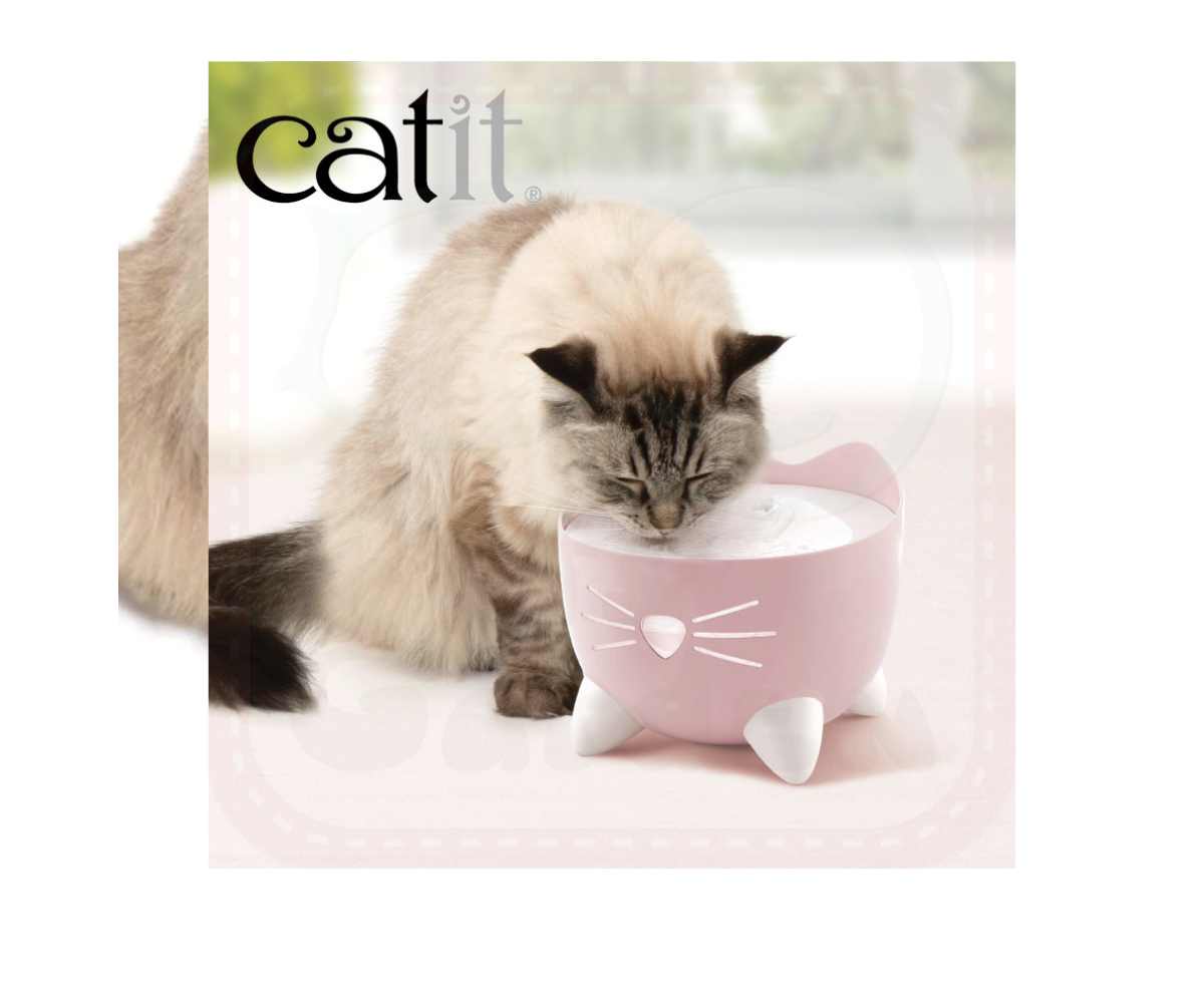 Catit Pixi -  噴泉式飲水機 (粉紅色)