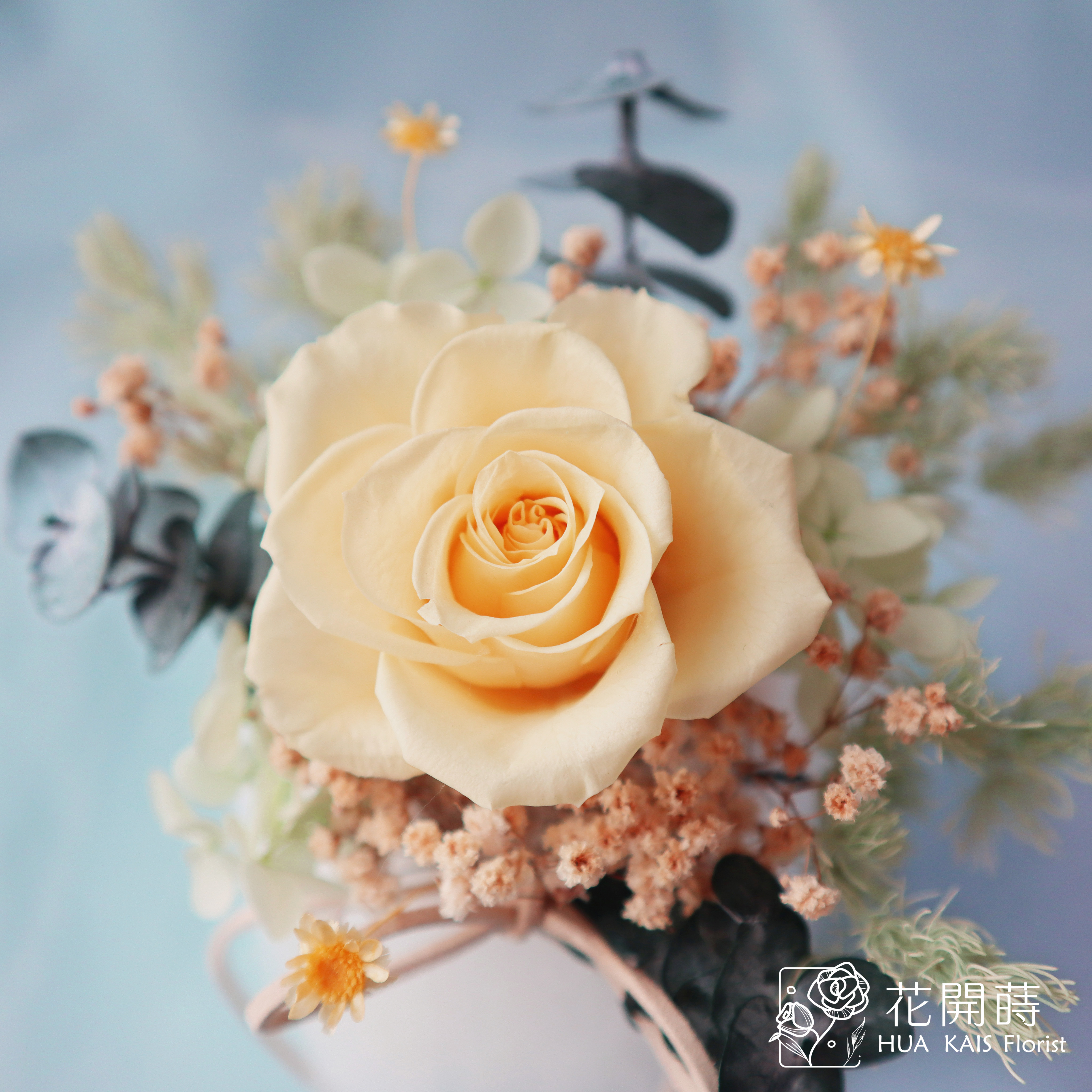 永生玫瑰小桌花|小太陽|開幕小盆栽|生日禮物|辦公桌小盆花|畢業花禮