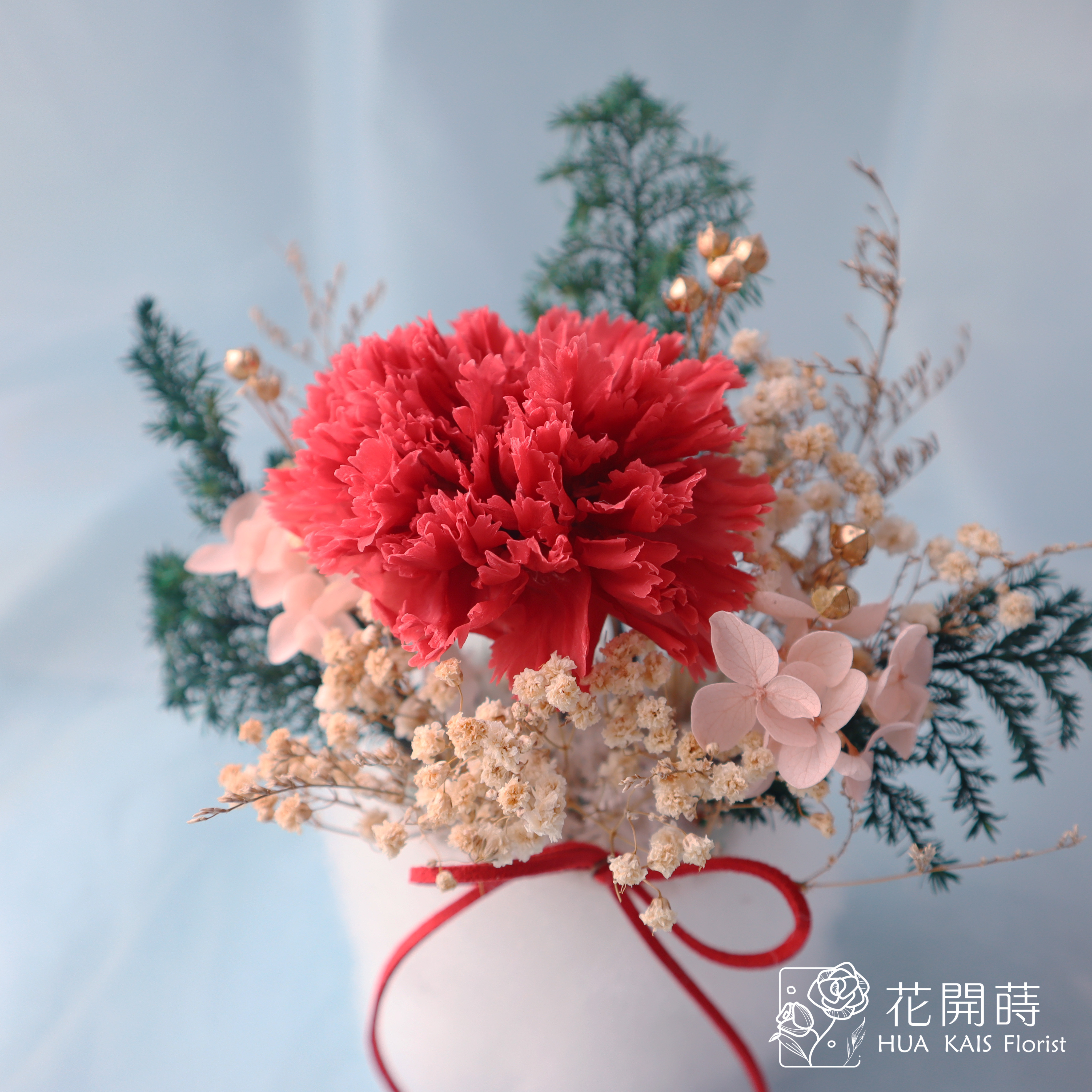 永生康乃馨小桌花|經典紅康乃馨|開幕小盆栽|生日禮物|辦公桌小盆花|母親節禮物|母親節|康乃馨