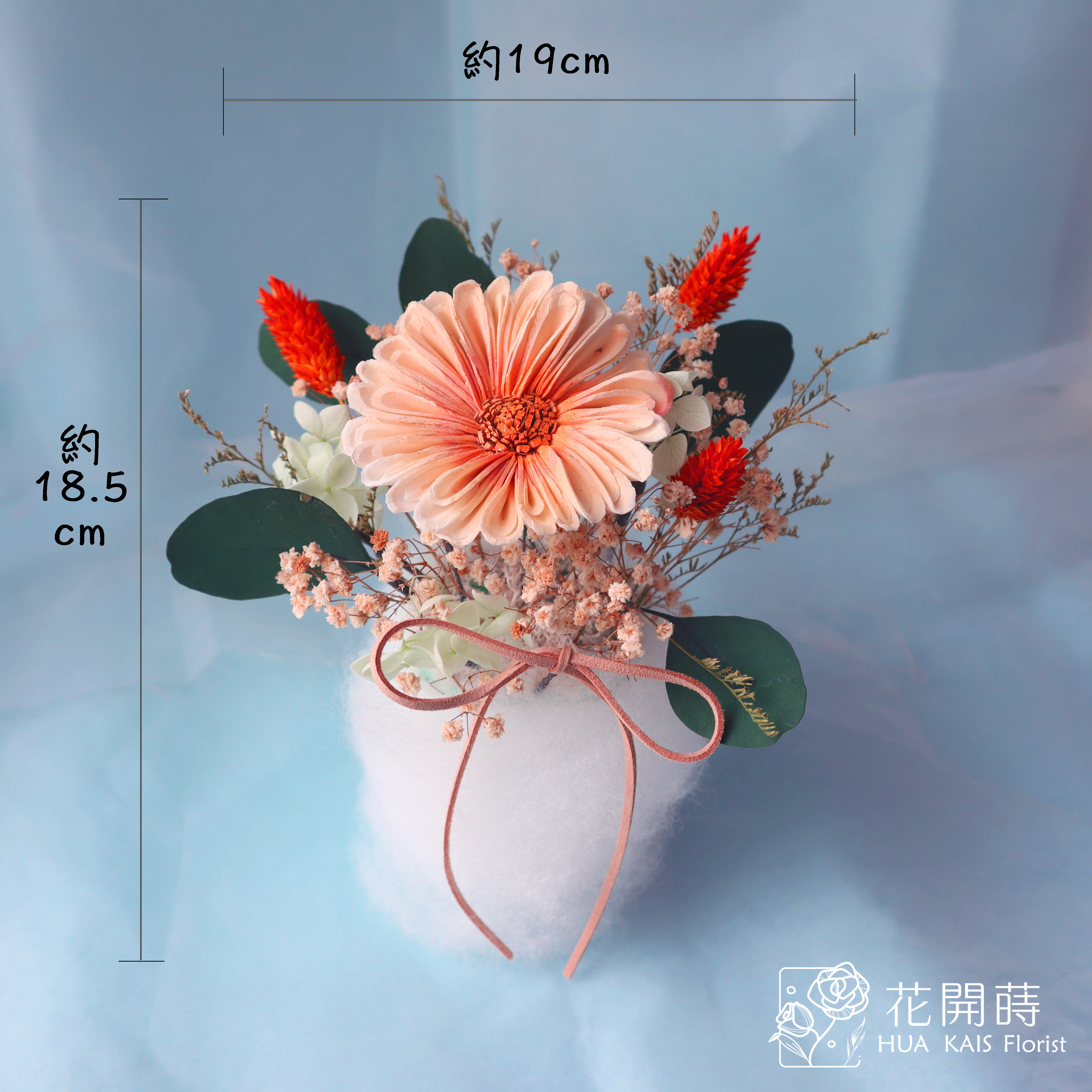 非洲菊香氛小桌花|太陽菊|開幕小盆栽|生日禮物|辦公桌小盆花|畢業花禮