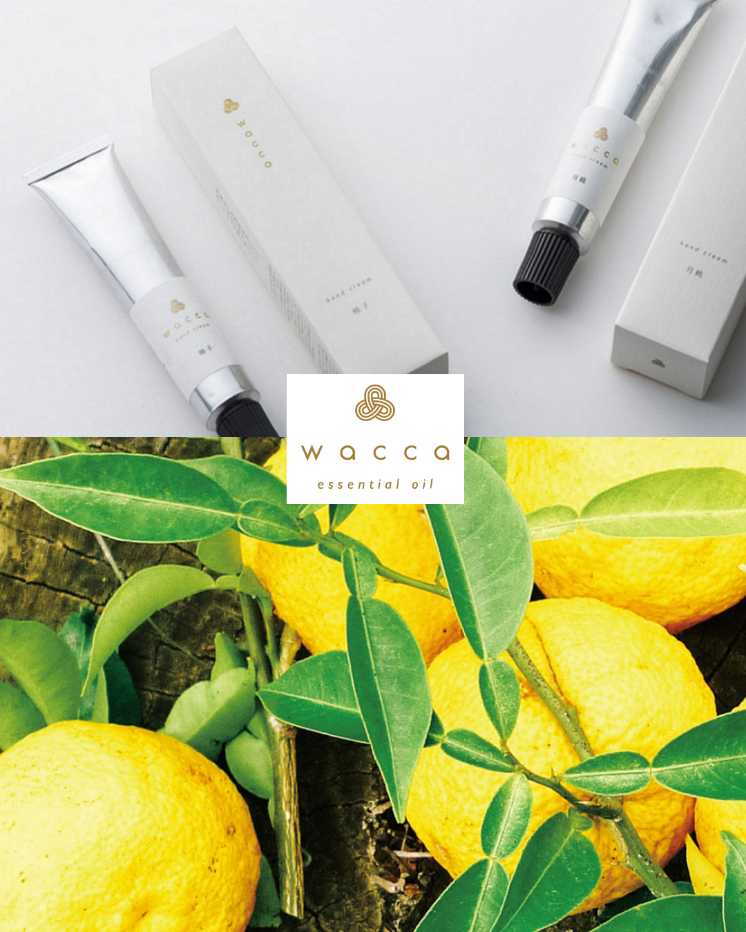 wacca Yuzu Ehime Hand Cream｜KUSU HANDMADE