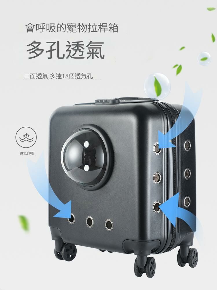 VOA寵物拉杆箱 (2kg)