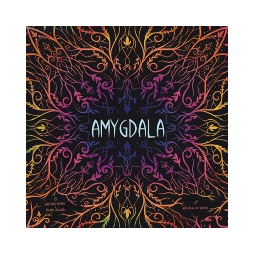 杏仁核AMYGDALA