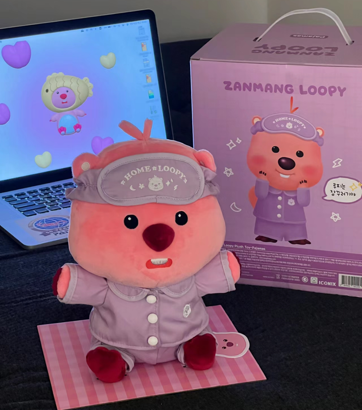 韓國🇰🇷連線 Loopy 正版授權 小海貍 韓版 露比 絨毛玩偶 睡衣 連帽外套 汗蒸幕 花束 抱枕 娃娃/預購