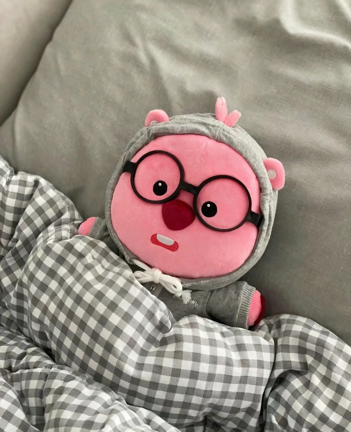 韓國🇰🇷連線 Loopy 正版授權 小海貍 韓版 露比 絨毛玩偶 睡衣 連帽外套 汗蒸幕 花束 抱枕 娃娃/預購