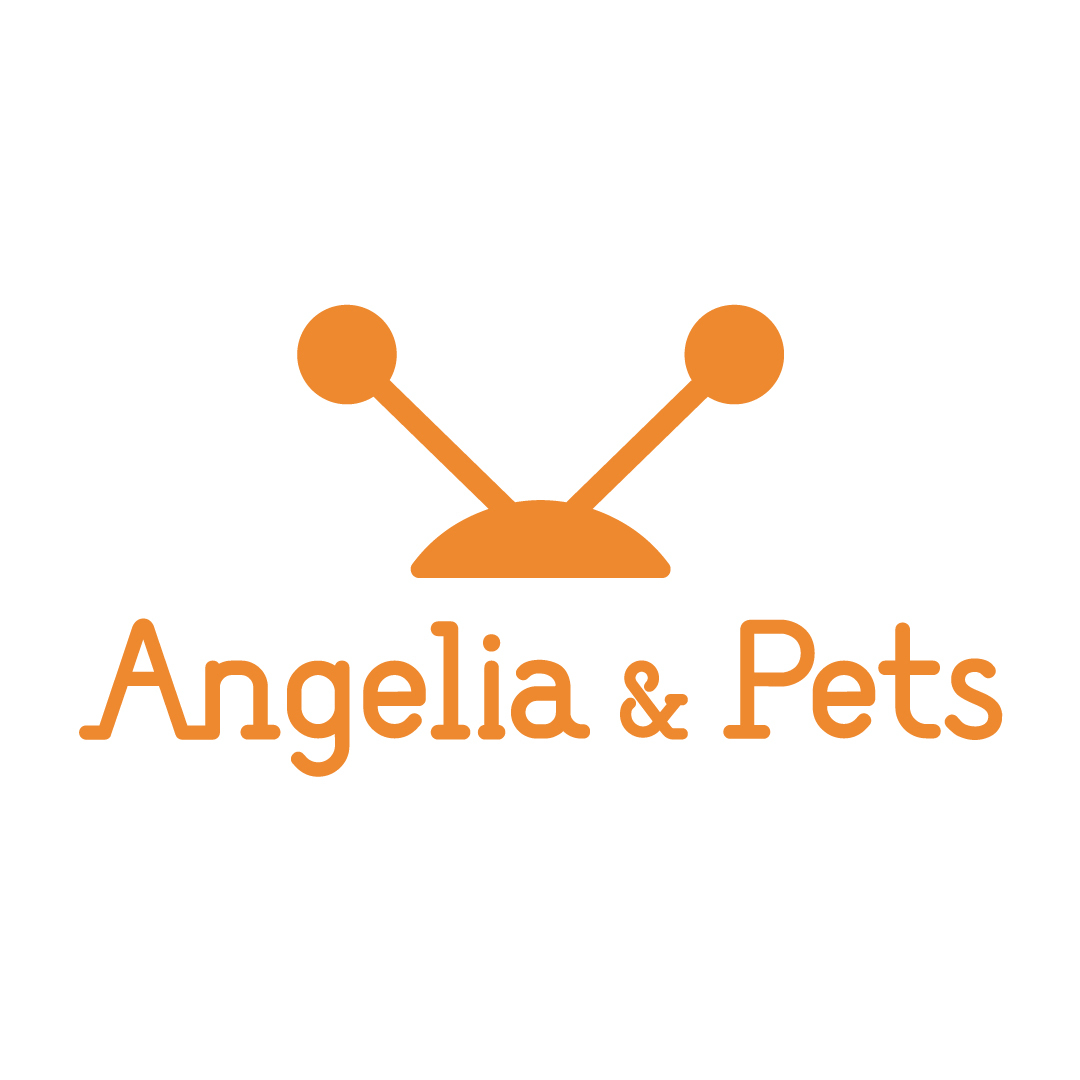 angelia&pets,anp,老爹鞋,厚底鞋,運動鞋,包包,小包,休閒鞋,托特包,水餃包,水桶包