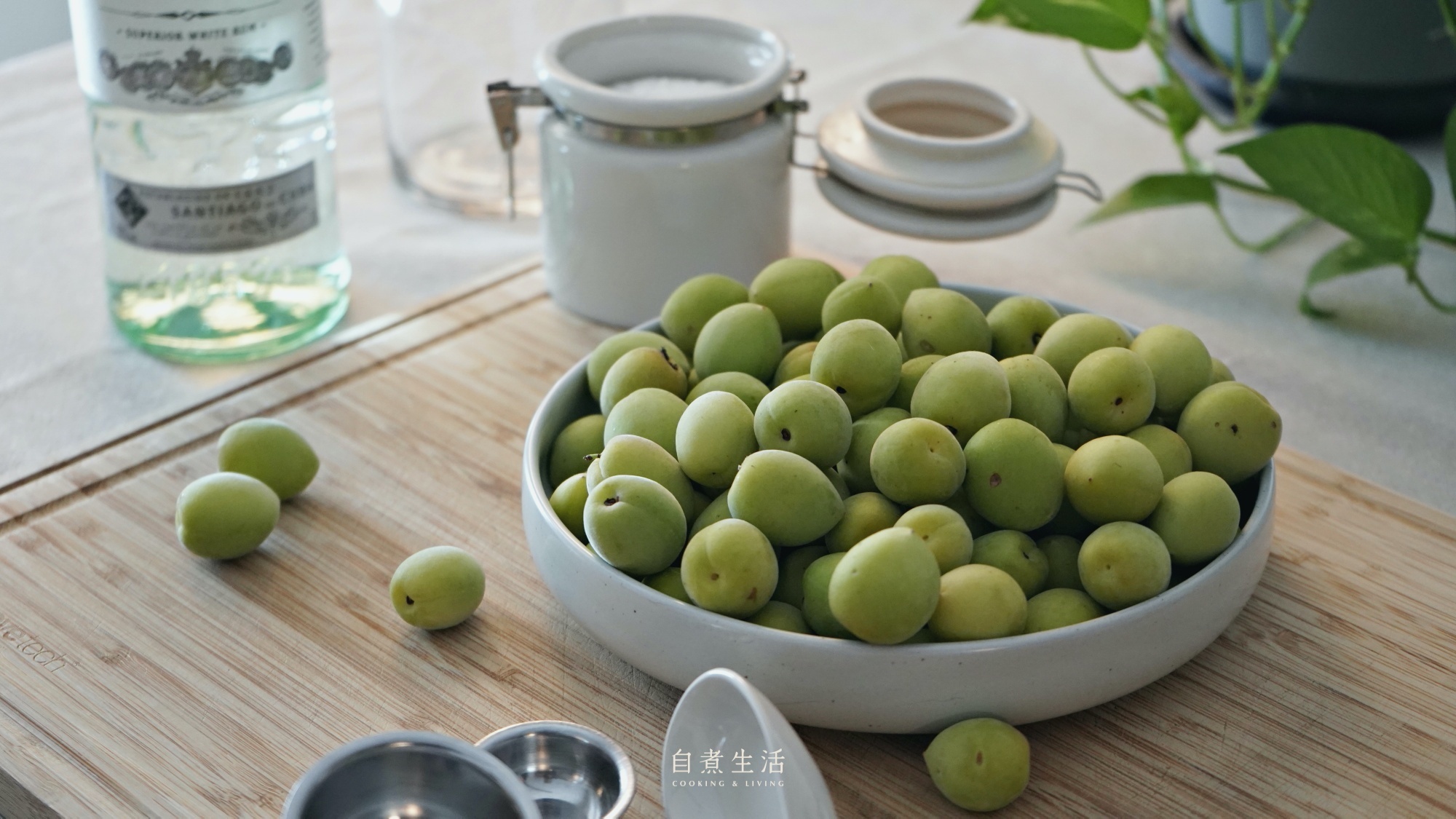 品酒師的釀酒風味課 - 淺漬有機青梅梅酒