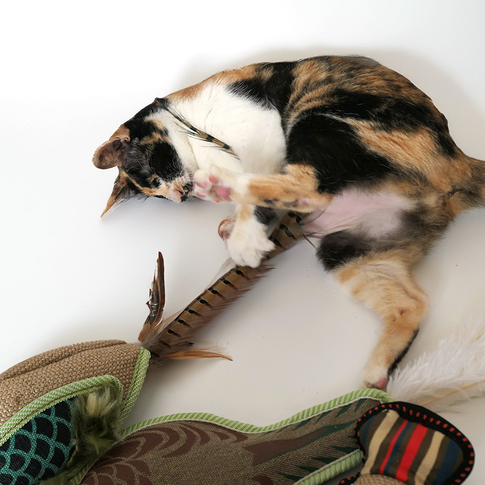 麻布野鴨【霹靂耐抓咬系列】-100%木天蓼填充貓玩具