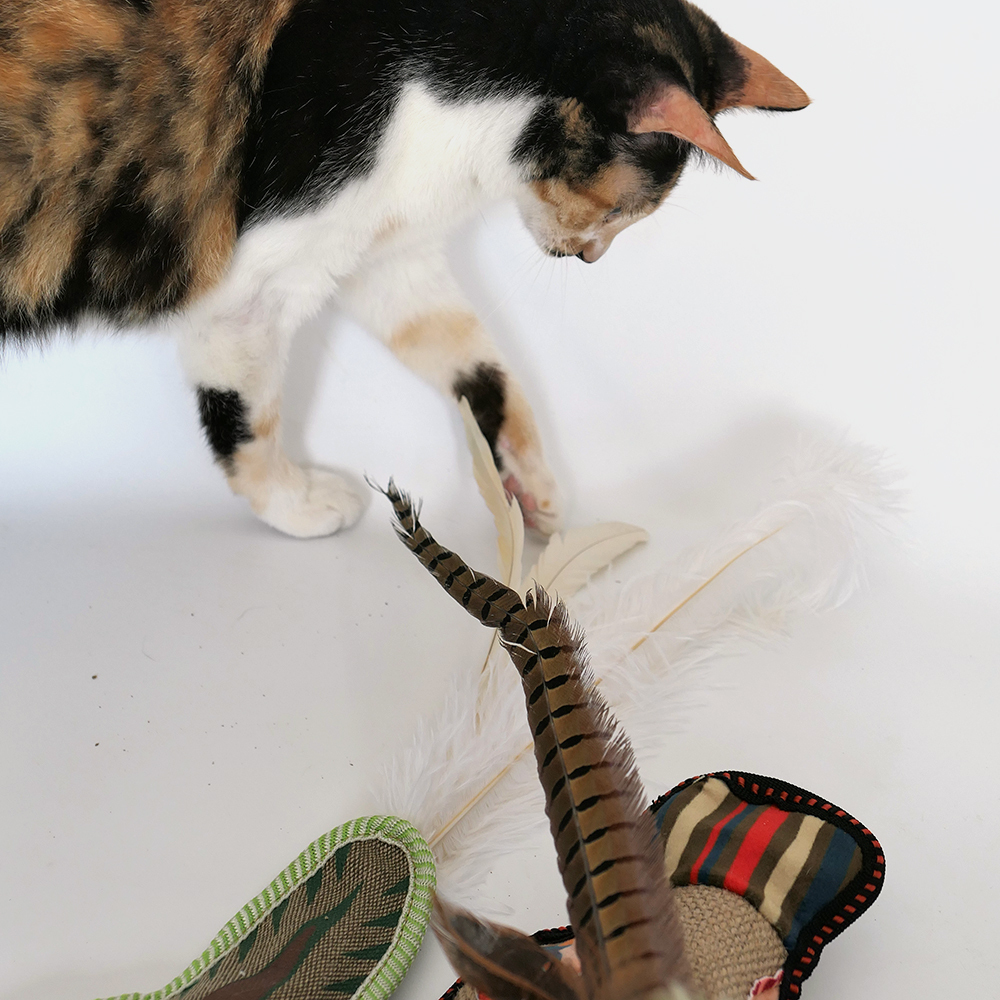 麻布山雞【霹靂耐抓咬系列】-100%木天蓼填充貓玩具