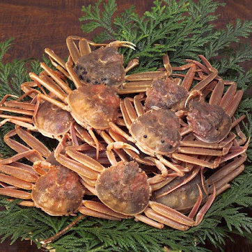 香箱蟹 約150-200g