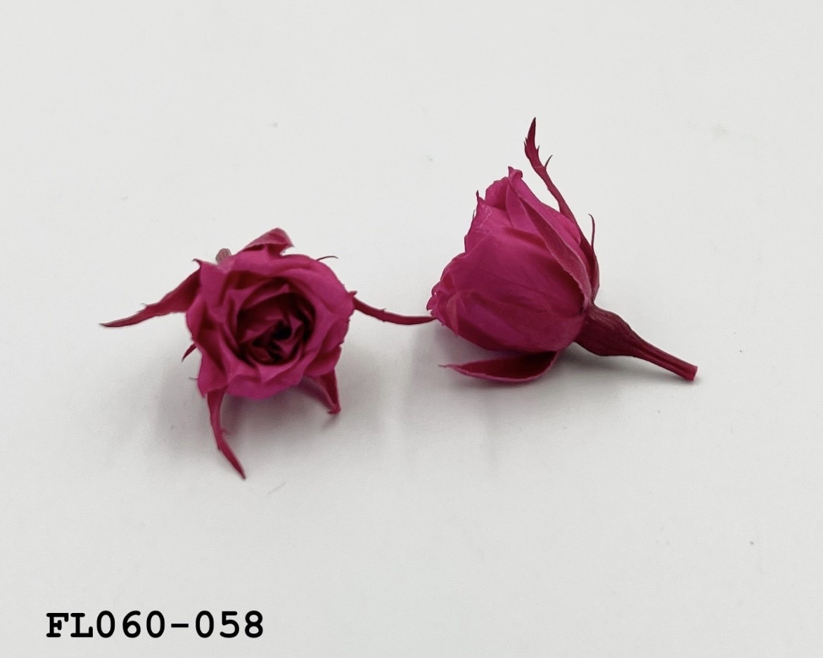 日本不凋拇指玫瑰(20朵) FL060-058