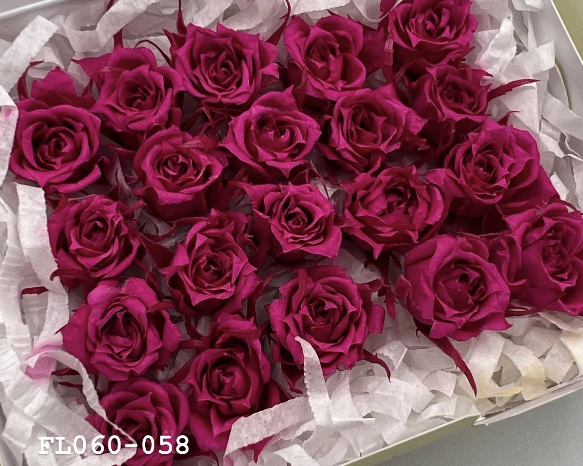 日本不凋拇指玫瑰(20朵) FL060-058
