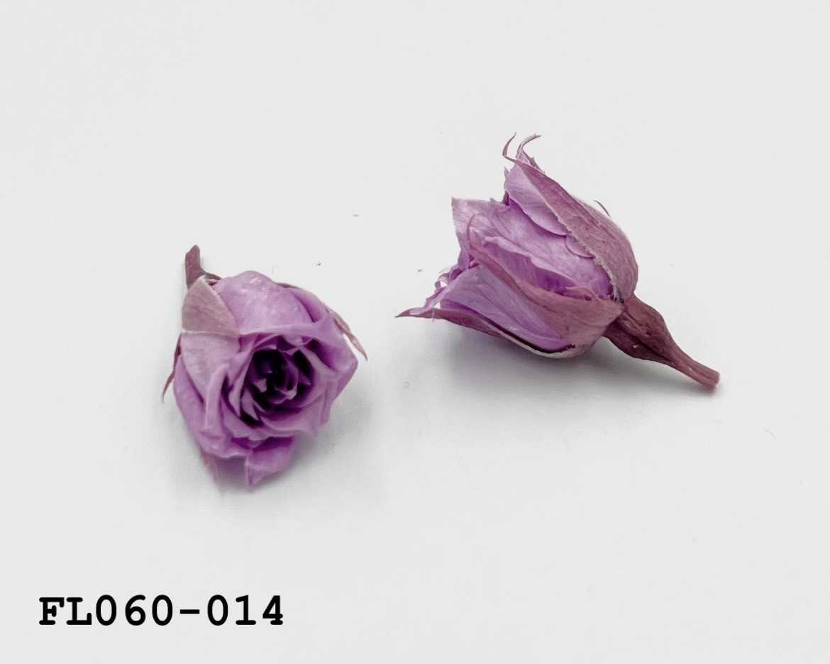 日本不凋拇指玫瑰(20朵) FL060-014