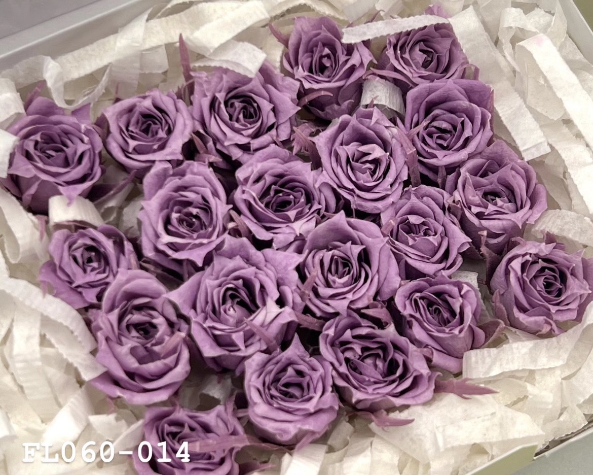 日本不凋拇指玫瑰(20朵) FL060-014