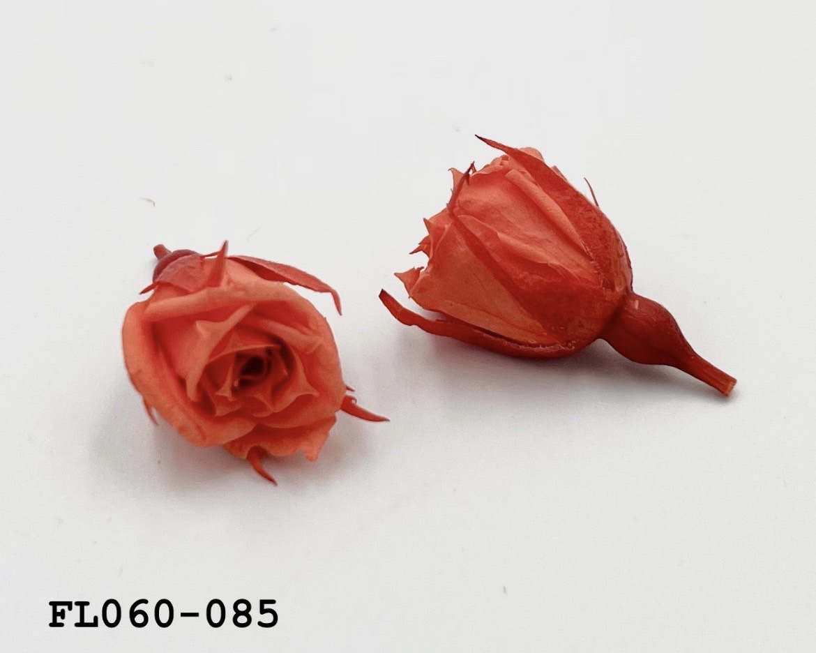 日本不凋拇指玫瑰(20朵) FL060-085