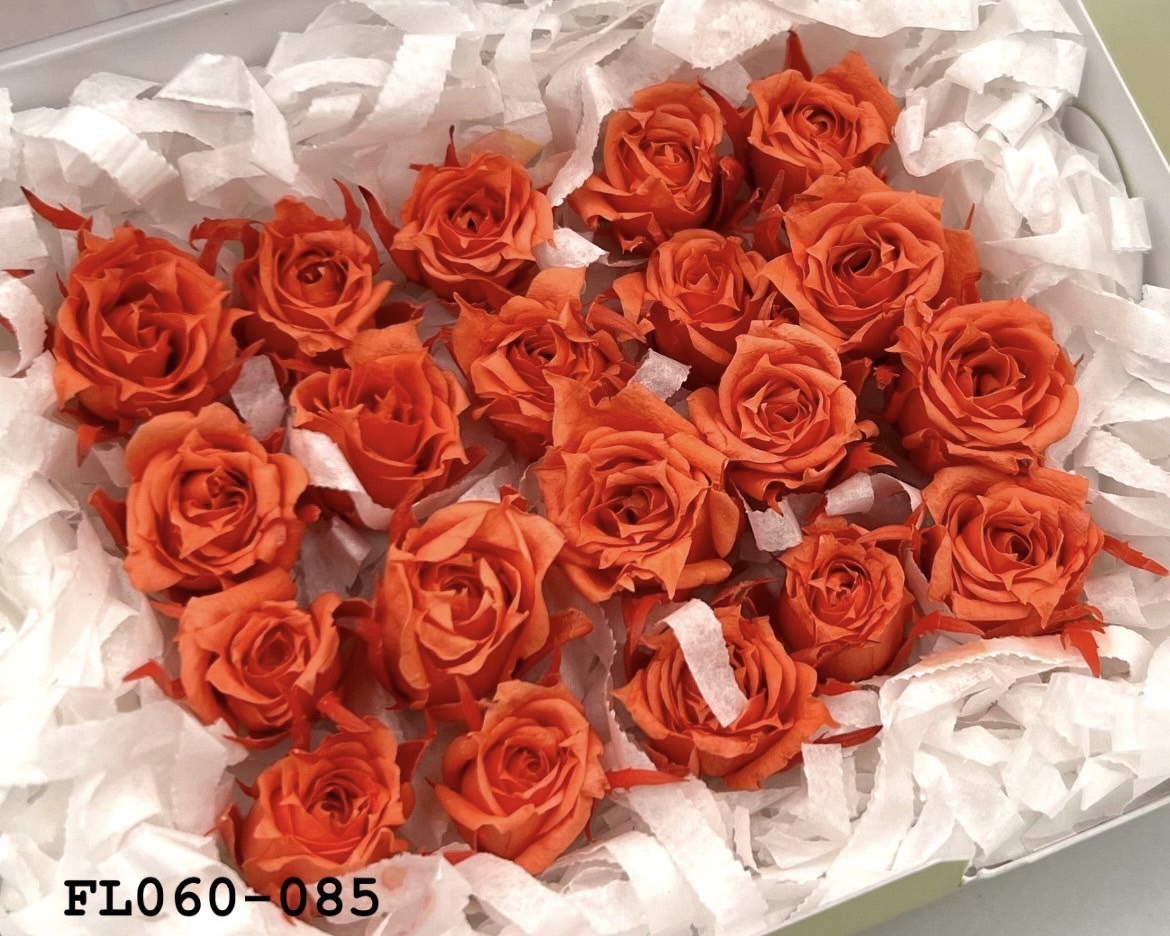 日本不凋拇指玫瑰(20朵) FL060-085