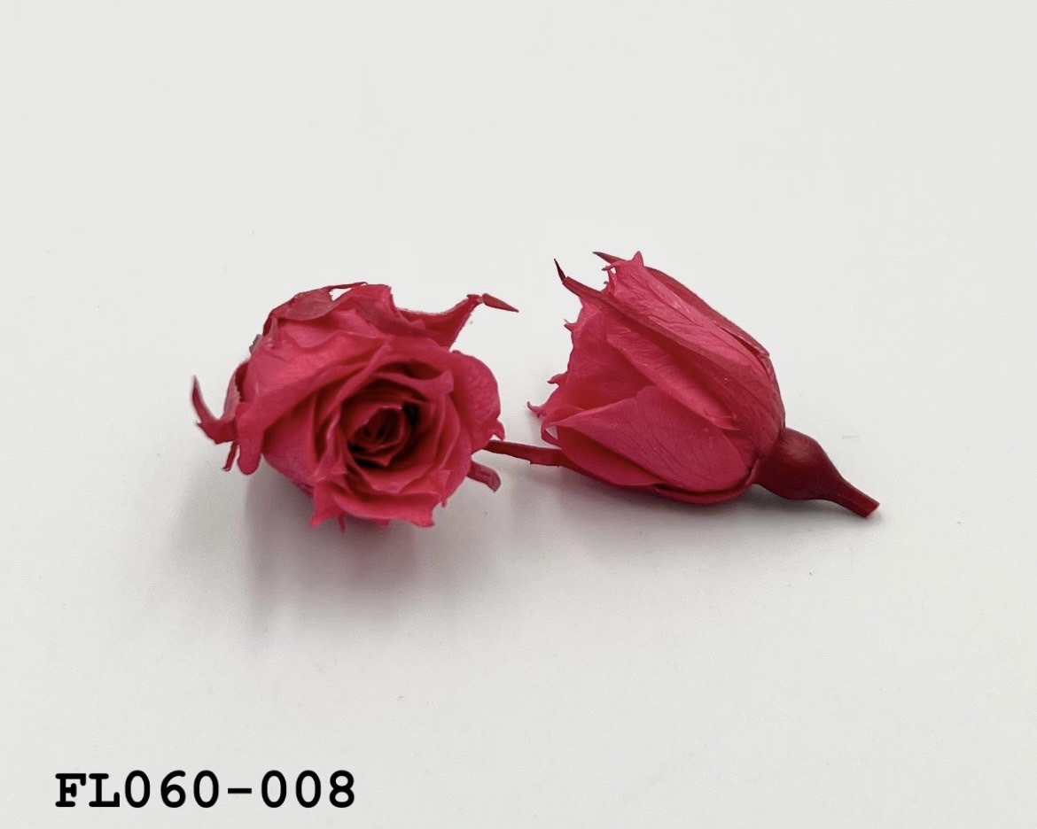 日本不凋拇指玫瑰(20朵) FL060-008