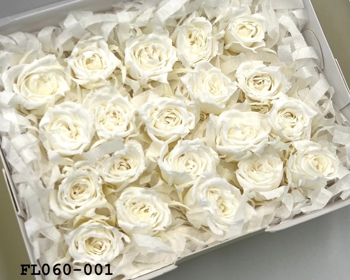 日本不凋拇指玫瑰(20朵) FL060-001