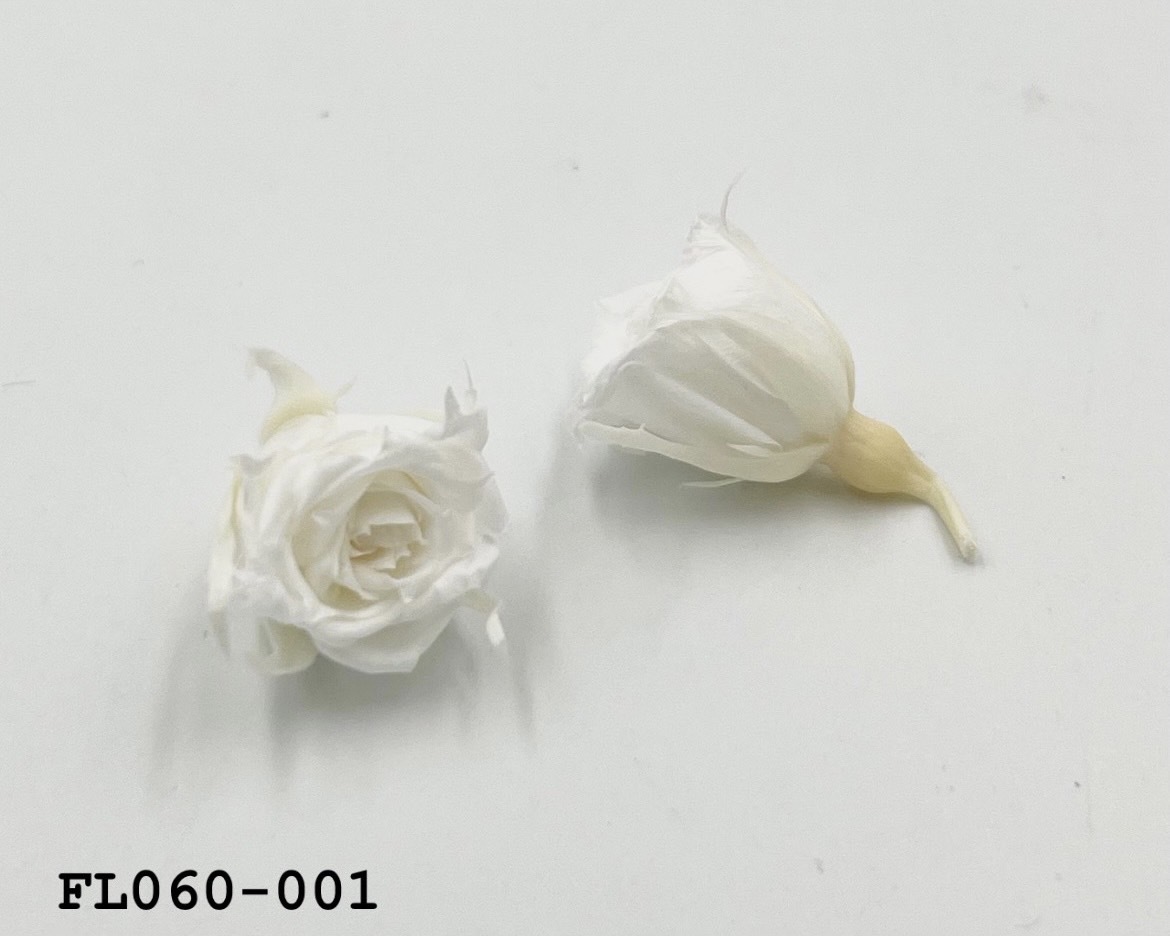 日本不凋拇指玫瑰(20朵) FL060-001