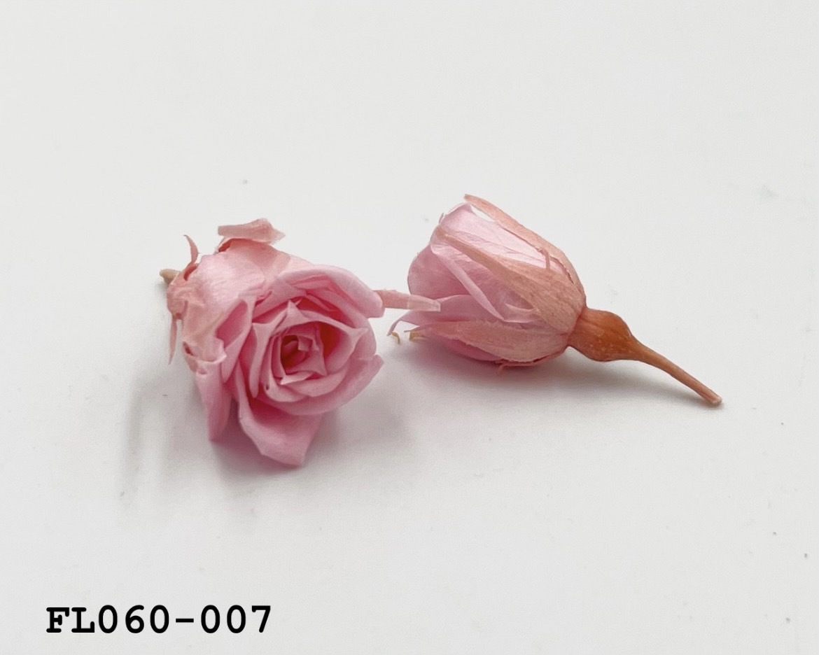 日本不凋拇指玫瑰(20朵) FL060-007