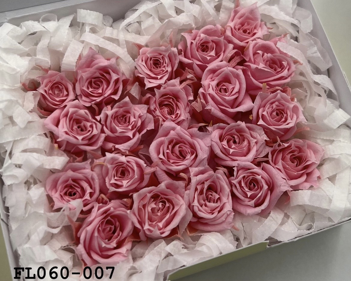 日本不凋拇指玫瑰(20朵) FL060-007