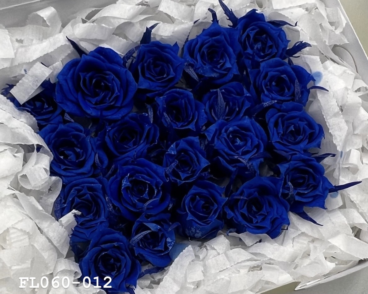 日本不凋拇指玫瑰(20朵) FL060-012