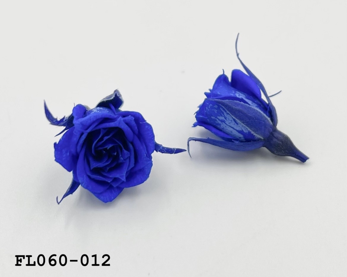 日本不凋拇指玫瑰(20朵) FL060-012