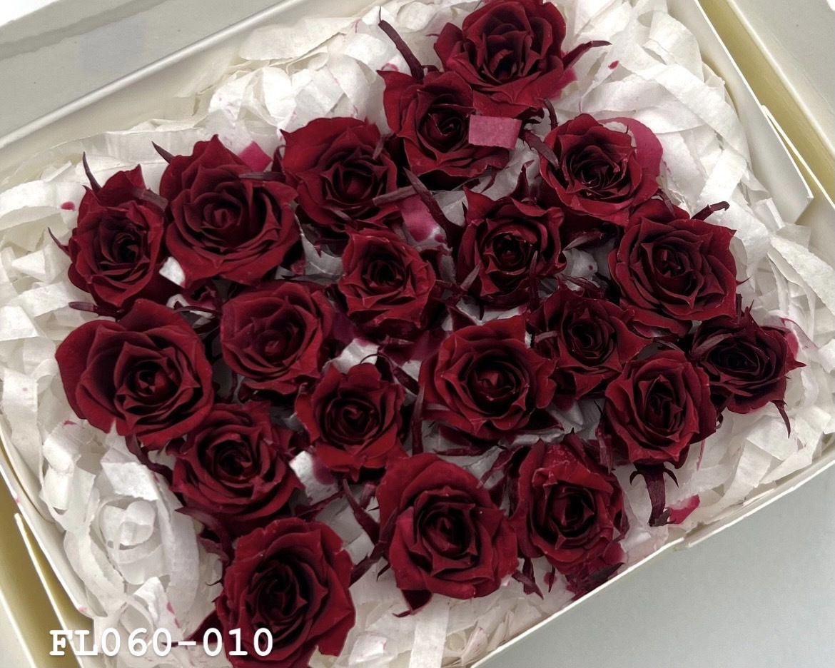 日本不凋拇指玫瑰(20朵) FL060-010