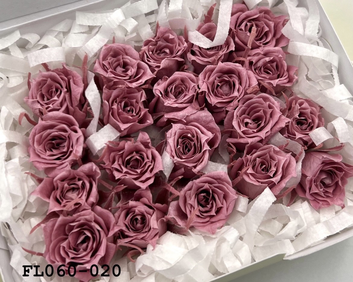 日本不凋拇指玫瑰(20朵) FL060-020
