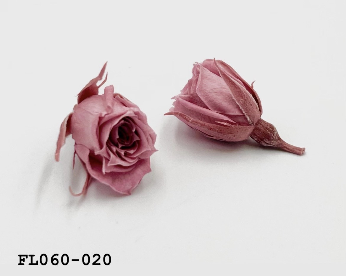 日本不凋拇指玫瑰(20朵) FL060-020