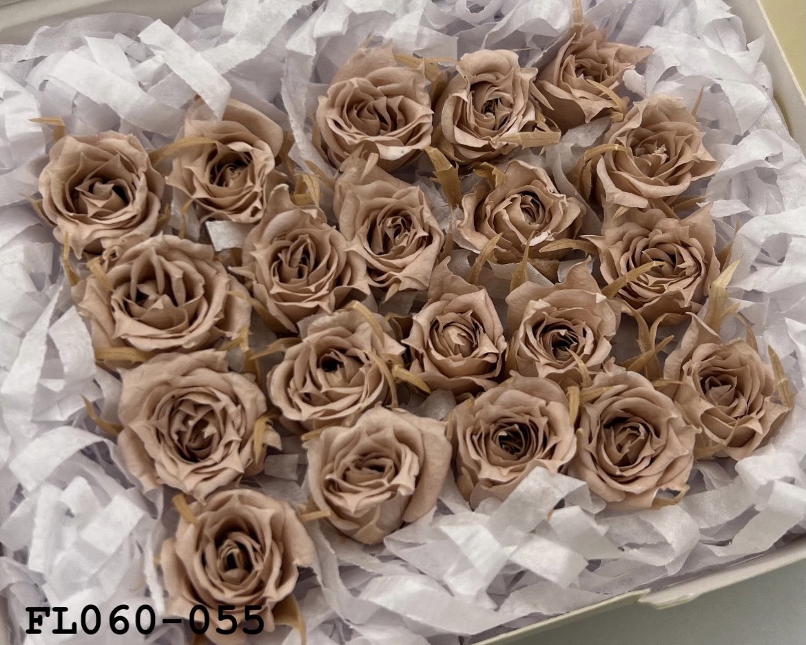 日本不凋拇指玫瑰(20朵) FL060-055
