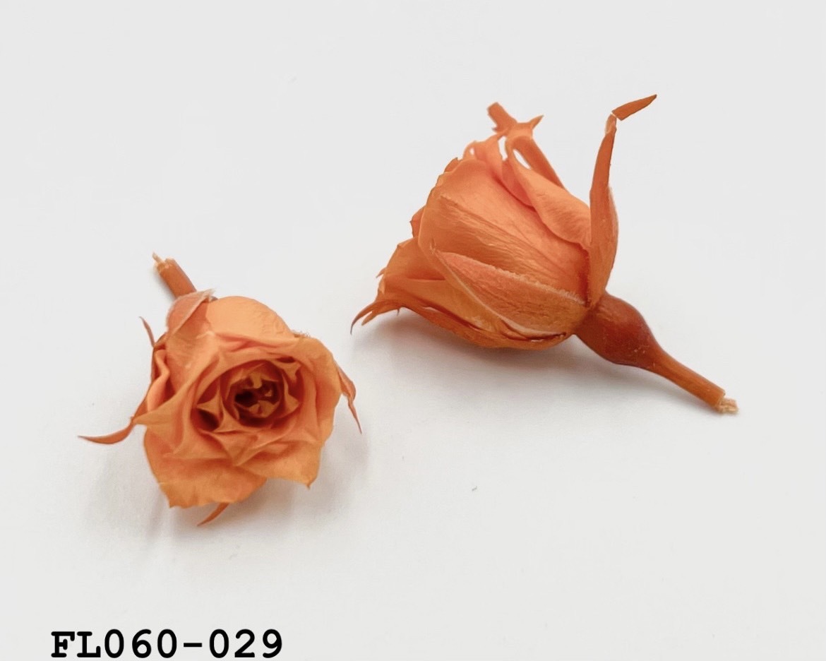 日本不凋拇指玫瑰(20朵) FL060-029