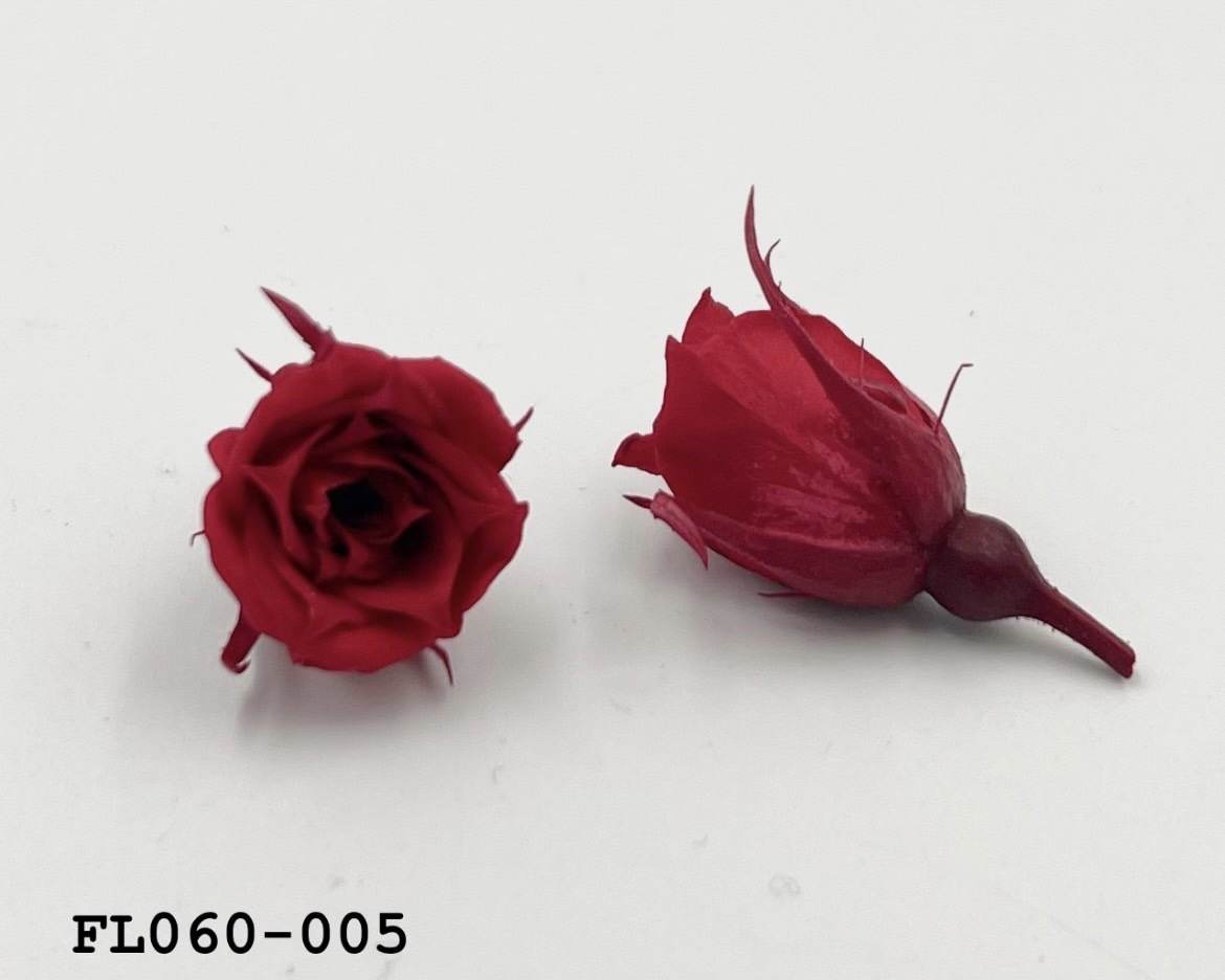 日本不凋拇指玫瑰(20朵)  FL060-005