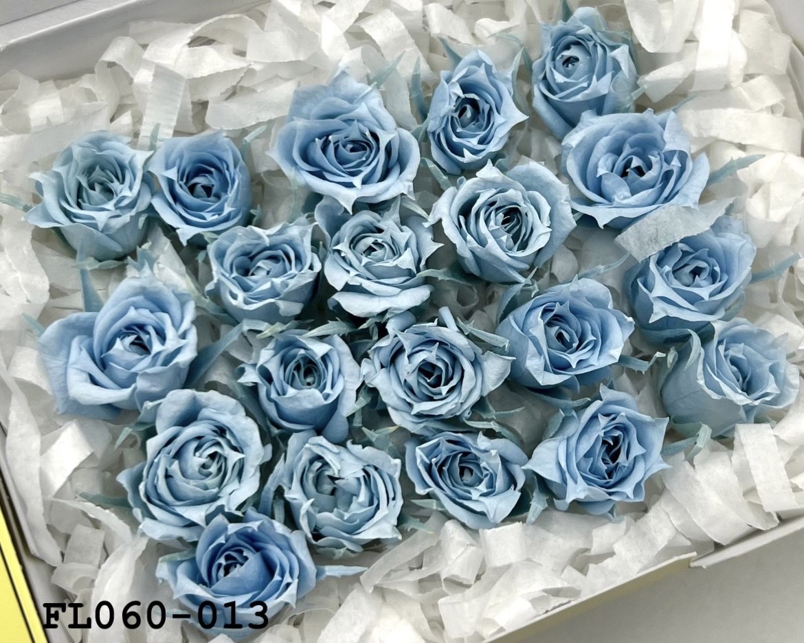 日本不凋拇指玫瑰(20朵) FL060-013