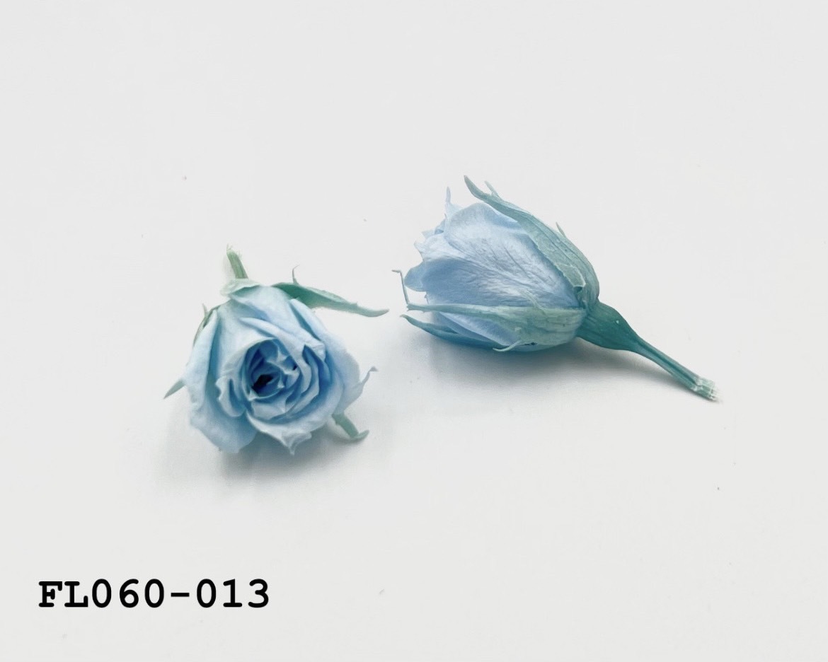 日本不凋拇指玫瑰(20朵) FL060-013