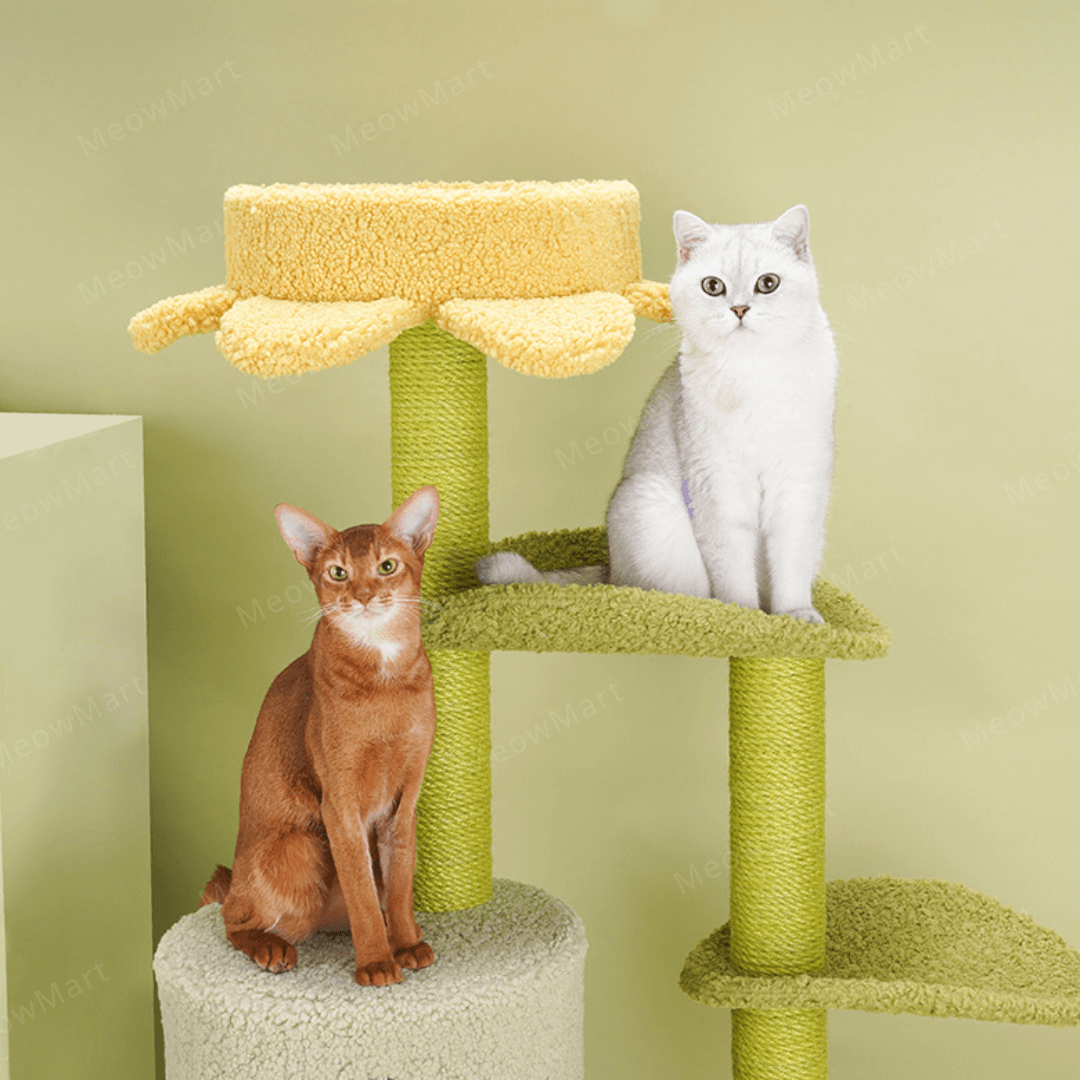 【新品8折】春日花屋別墅貓爬架