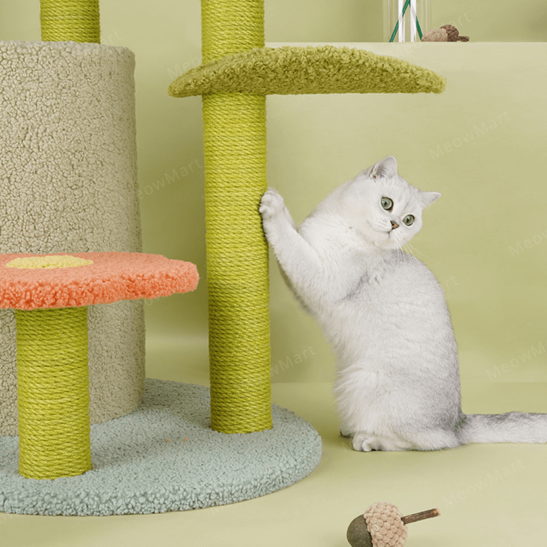 zeze 春日花屋別墅貓爬架