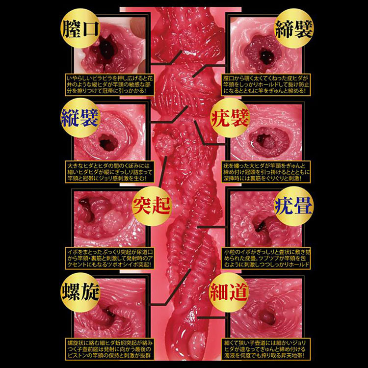 NPG 極上名器 天海翼 女優名器 男性用自慰飛機杯